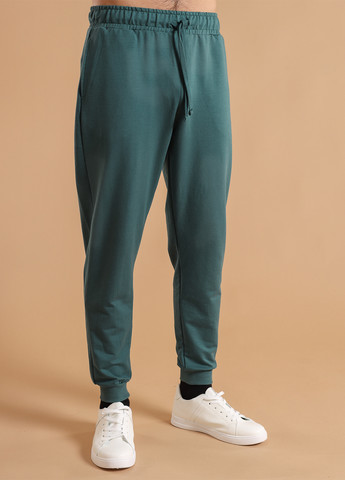 Зеленые спортивные демисезонные джоггеры брюки BBL