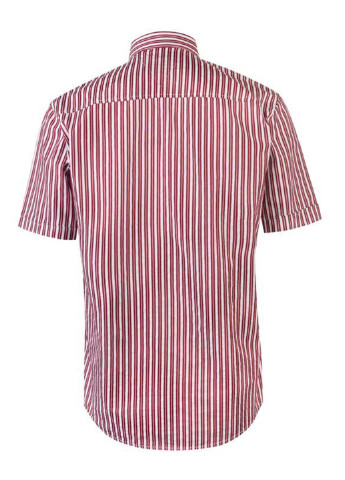 Рубашка Pierre Cardin (116067572)
