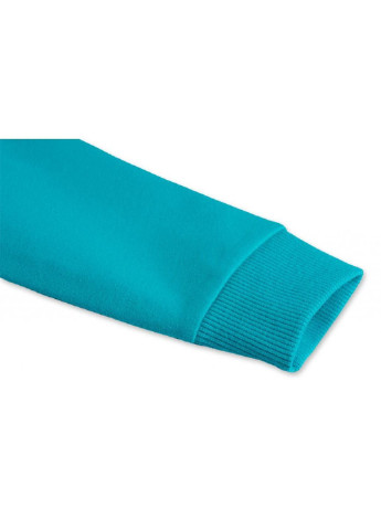 Бирюзовый демисезонный спортивный костюм бирюзовый с собачкой (7879-92b-blue) Breeze