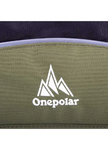 Мужская спортивная сумка 38х30х9,5 см Onepolar (255710215)