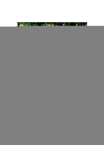 Набор для вышивания бисером Тигр у водопада 64х92 см Александра Токарева (188848080)