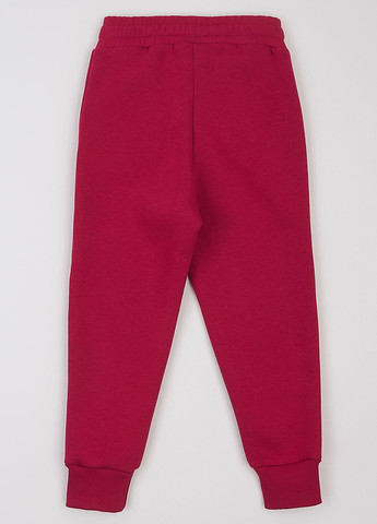 Бордовые спортивные демисезонные джоггеры брюки KRAKO