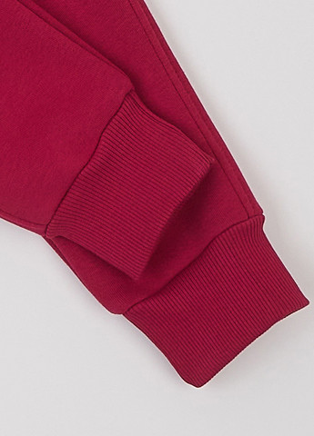 Бордовые спортивные демисезонные джоггеры брюки KRAKO