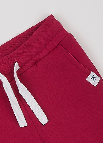 Бордовые спортивные демисезонные джоггеры брюки KRAKO