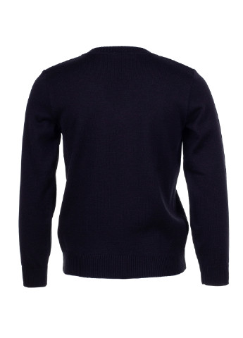 Чорний демісезонний пуловер пуловер Flash