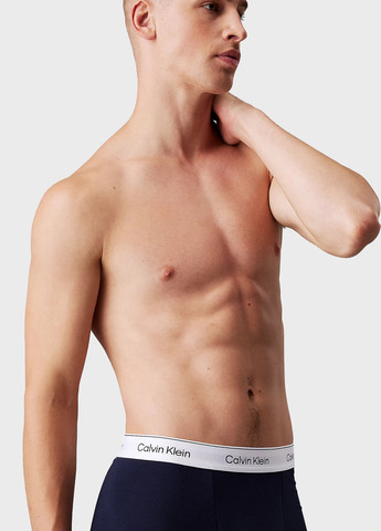 Трусы (3 шт.) Calvin Klein (366292842)