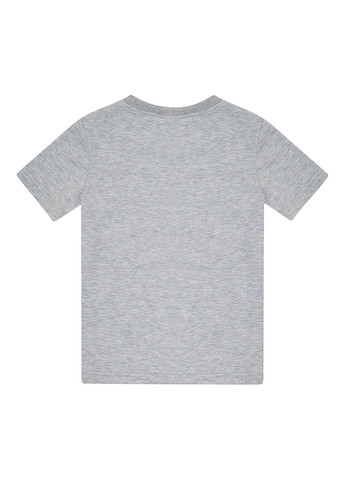 Серая летняя футболка Garnamama