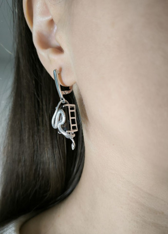 Сережки Silver Flame (329999913)