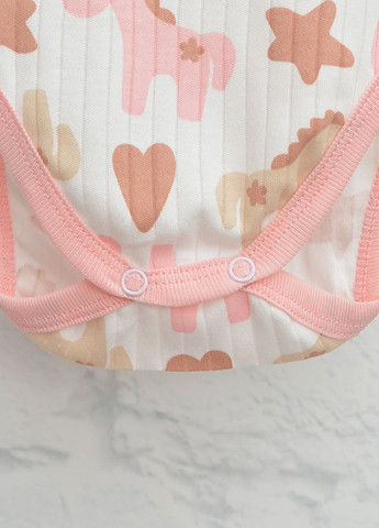 Розовый демисезонный комплект (боди, брюки) Blanka