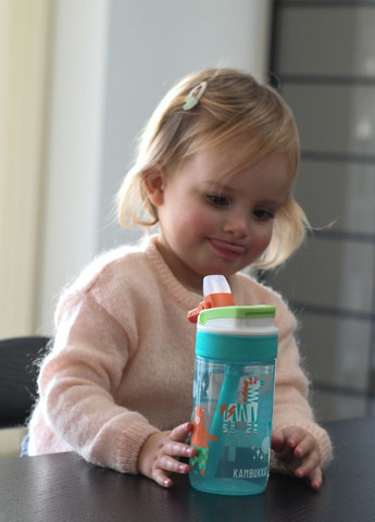 Бутылка для воды, 400 мл Kambukka (319091099)