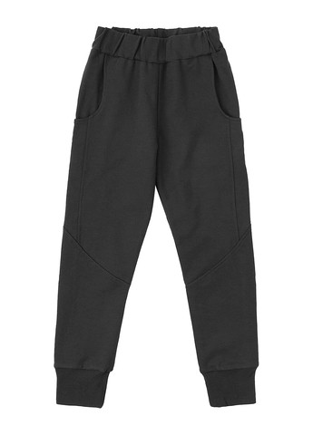 Темно-серый демисезонный комплект (худи, брюки) Ляля