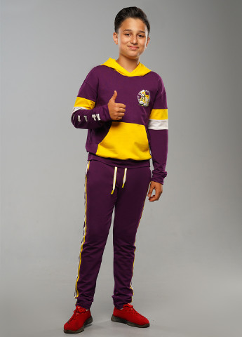 Фиолетовый демисезонный костюм (худи, брюки) брючный Tiaren
