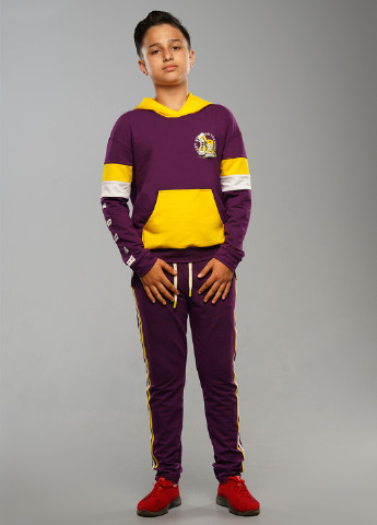 Фіолетовий демісезонний костюм (худі, брюки) брючний Tiaren