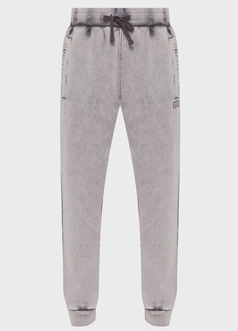 Серые спортивные демисезонные джоггеры брюки PRPY