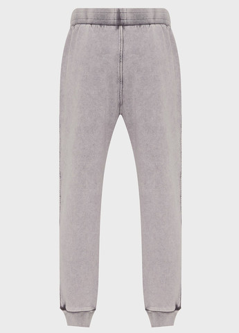 Серые спортивные демисезонные джоггеры брюки PRPY