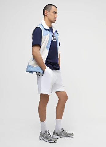 Шорты The North Face (330382813)