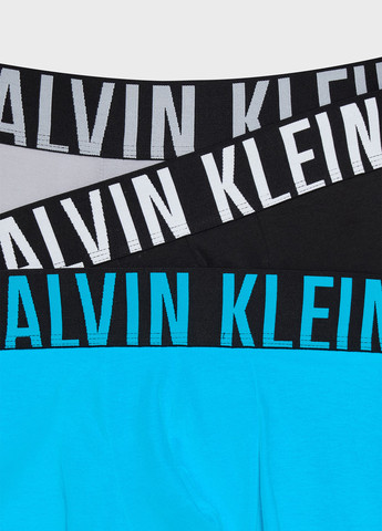 Труси (3 шт.) Calvin Klein (366431778)