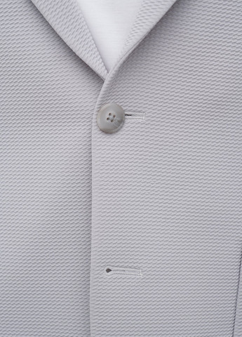 Світло-сірий демісезонний костюм (піджак, штани) брючний Trend Collection