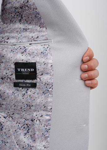 Світло-сірий демісезонний костюм (піджак, штани) брючний Trend Collection