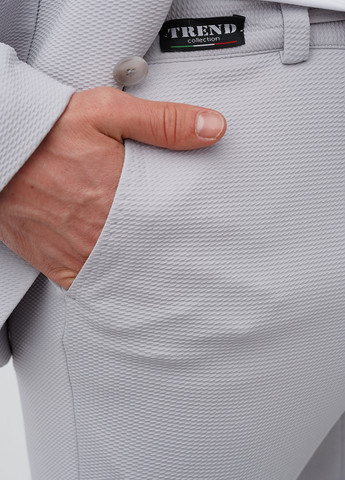 Світло-сірий демісезонний костюм (піджак, штани) брючний Trend Collection