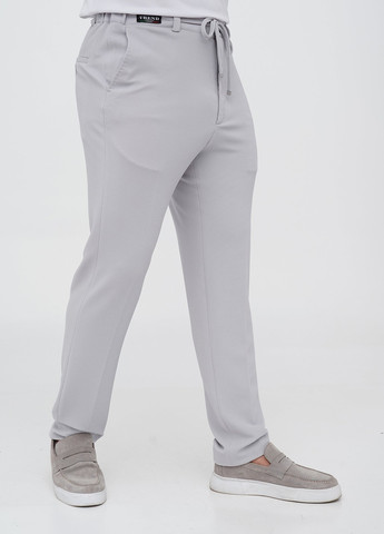 Світло-сірий демісезонний костюм (піджак, штани) брючний Trend Collection