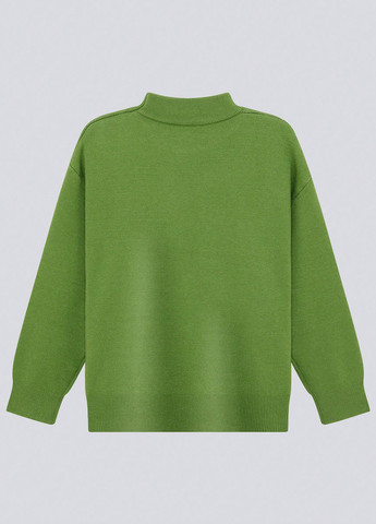 Зелений демісезонний джемпер джемпер SHEIN