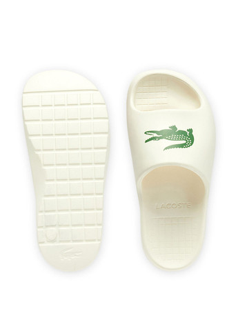 Шльопанці Lacoste (363619784)