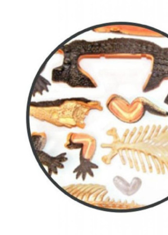 Пазл Об'ємна анатомічна модель Крокодил (FM-622034) 4D Master (202379004)