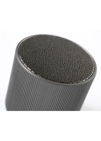 Портативный динамик Fine Speaker; серый Lexon LA98X6 (219327823)