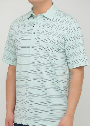 Мятная футболка-поло для мужчин Greg Norman в полоску