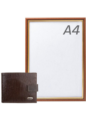 Шкіряна гаманець чоловічий 11,5 х9, 5х2, 5 см Canpellini (216745316)