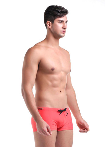 Мужские красные пляжные мужские плавки шорты Desmit