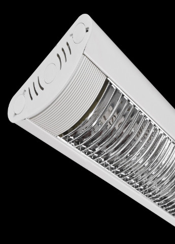 BS-04/36 FORA Люмінесцентний лінійний світильник Brille (185914089)