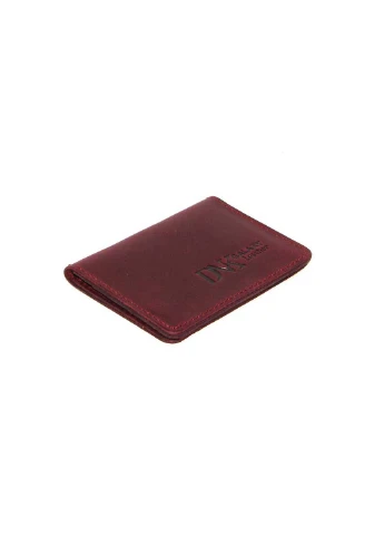 Обкладинка для паспорта 10 х 7 DNK Leather (252856594)