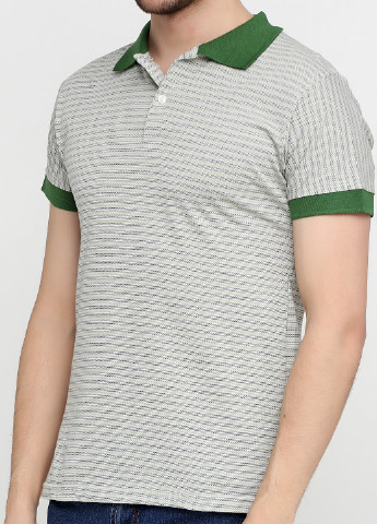 Зеленая футболка-поло для мужчин Chiarotex в полоску