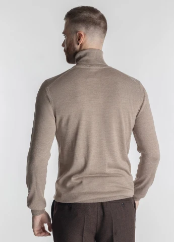 Гольф мужской Arber Roll-neck FF AVT49 (255385005)