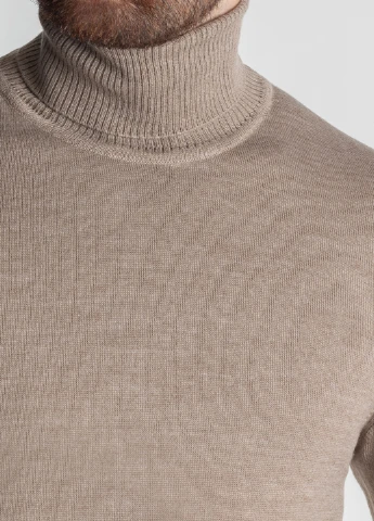 Гольф мужской Arber Roll-neck FF AVT49 (255385005)