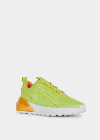 Зеленые демисезонные кроссовки Geox