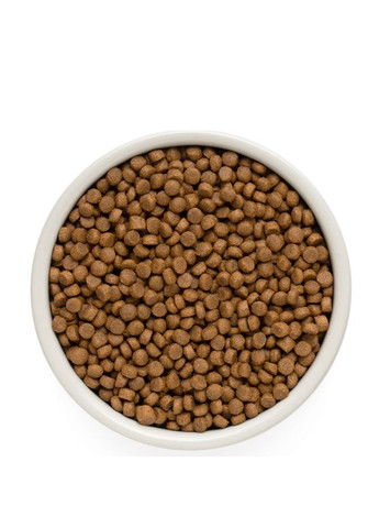 Сухой корм для щенков LAMB & TURKEY PUPPY ягненок с индейкой от 3 недель, 3 кг Grandorf (328263269)