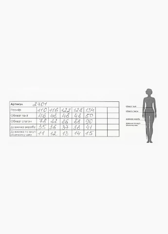 Шорты Beneti (254063139)