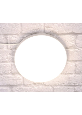 Светильник потолочный LED 24002/24W-ro Белый 3х17х17 см. Sunnysky (253629711)