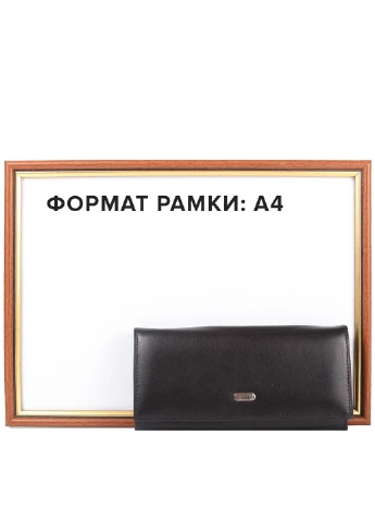 Женский кожаный кошелек 17,5х8,5х2 см Canpellini (253032252)