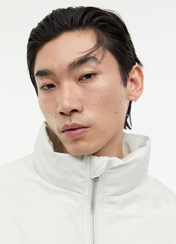 Світло-сіра демісезонна куртка H&M