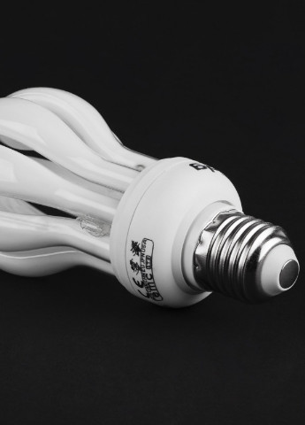 Лампа энергосберегающая E27 PL-4U 20W/827 9mm MINI LOTUS Brille (253965299)