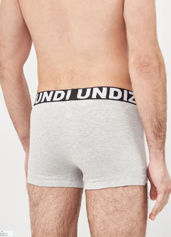 Труси Undiz (220746191)