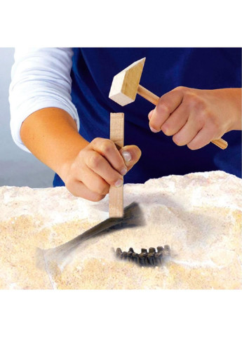 Набор для экспериментов Исследователь Раскопки скелета Тираннозавра Ses (252418393)