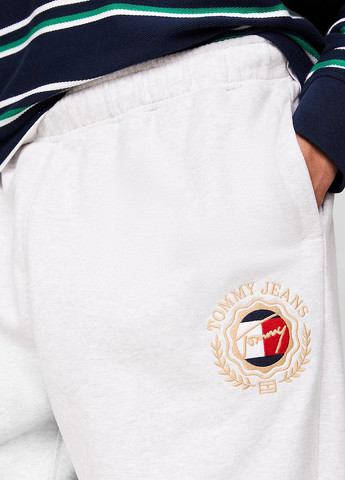 Светло-серые спортивные демисезонные джоггеры брюки Tommy Jeans