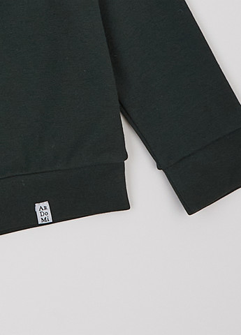 Спортивный костюм (свитшот, брюки) ArDoMi (322563688)