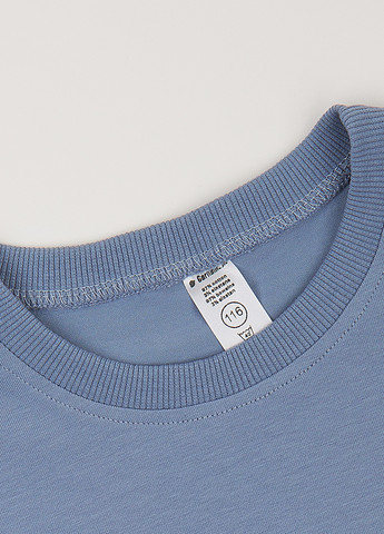 Блакитна демісезонна футболка Garnamama