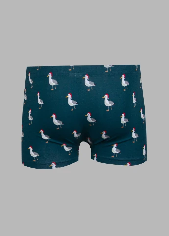 Трусы H&M (252537360)